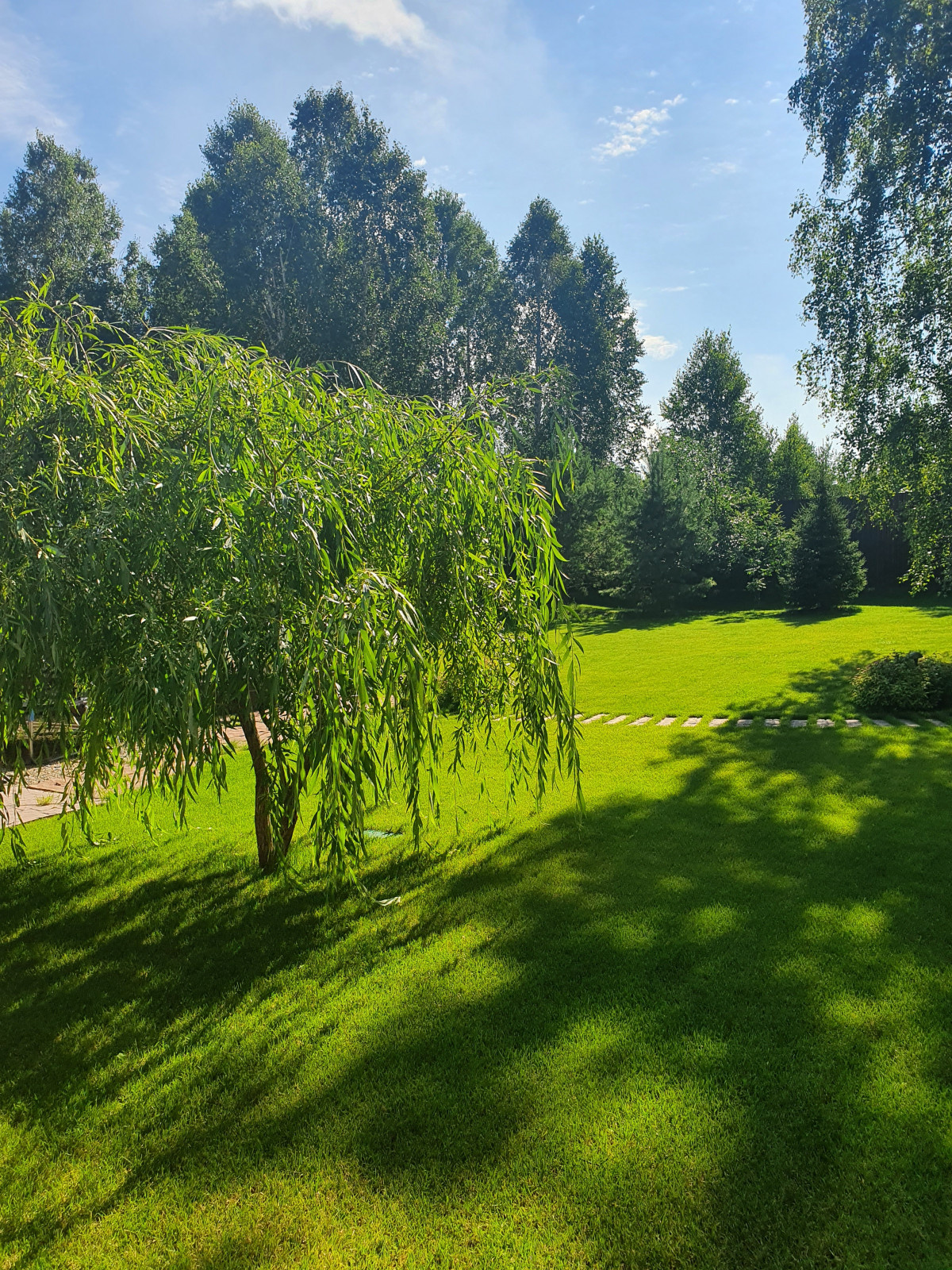 Сад для молодой семьи