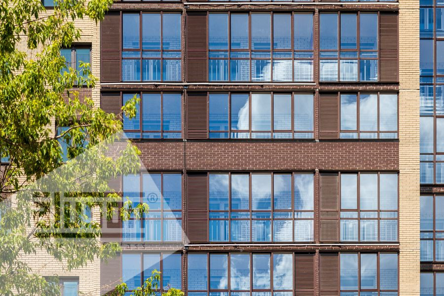 Дарья Жижина