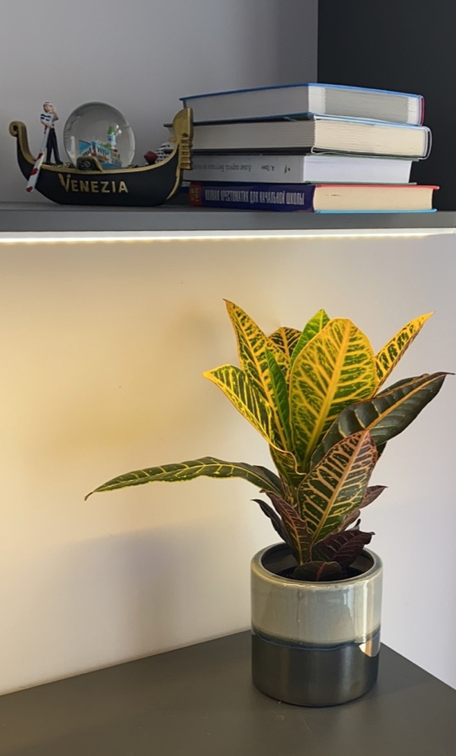 Декорирование частных квартир