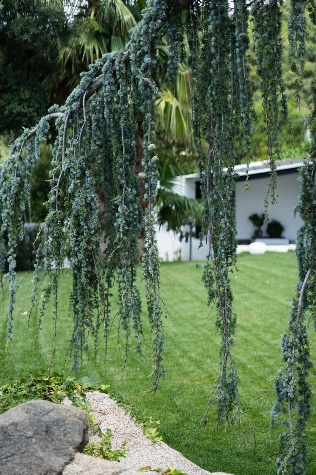 Jardín Blanco