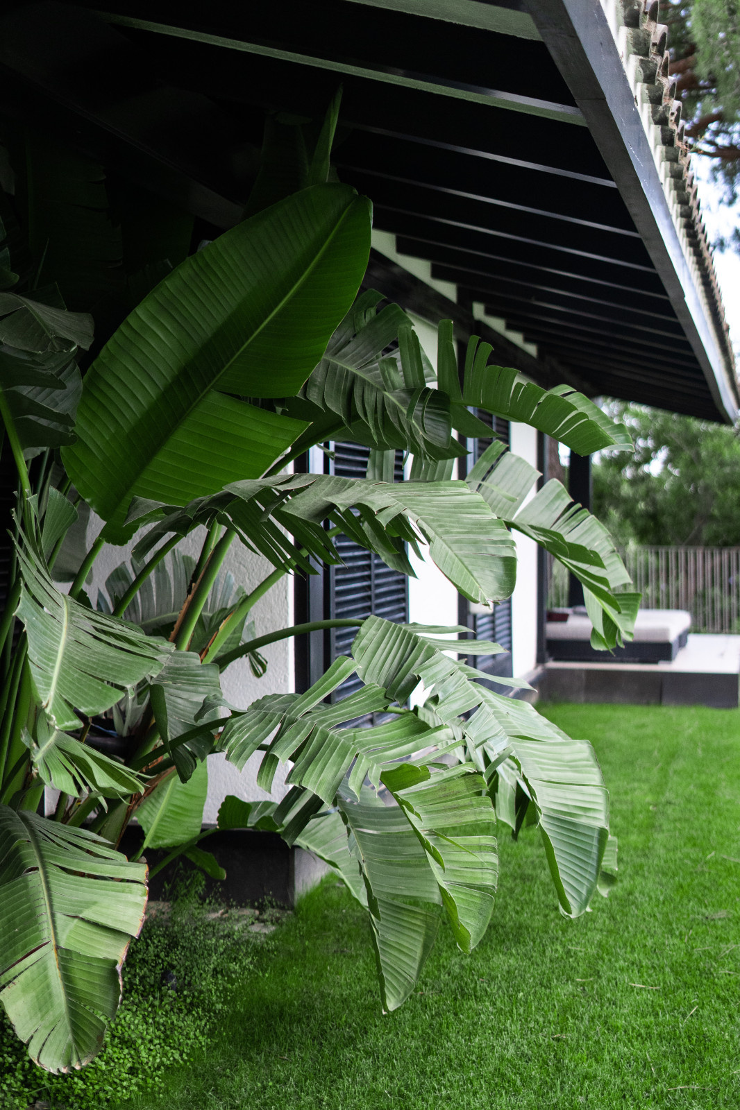 Jardín Blanco