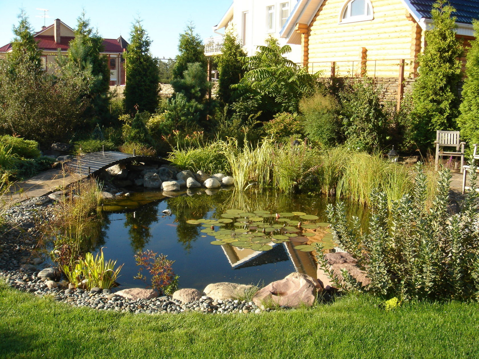 Елена Борисова