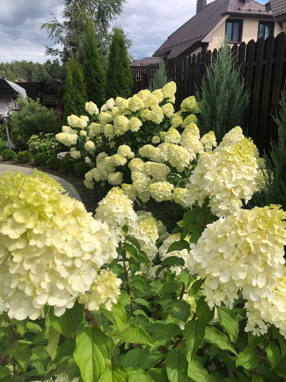 Фоновое изображение профиля Виталия Стариченко