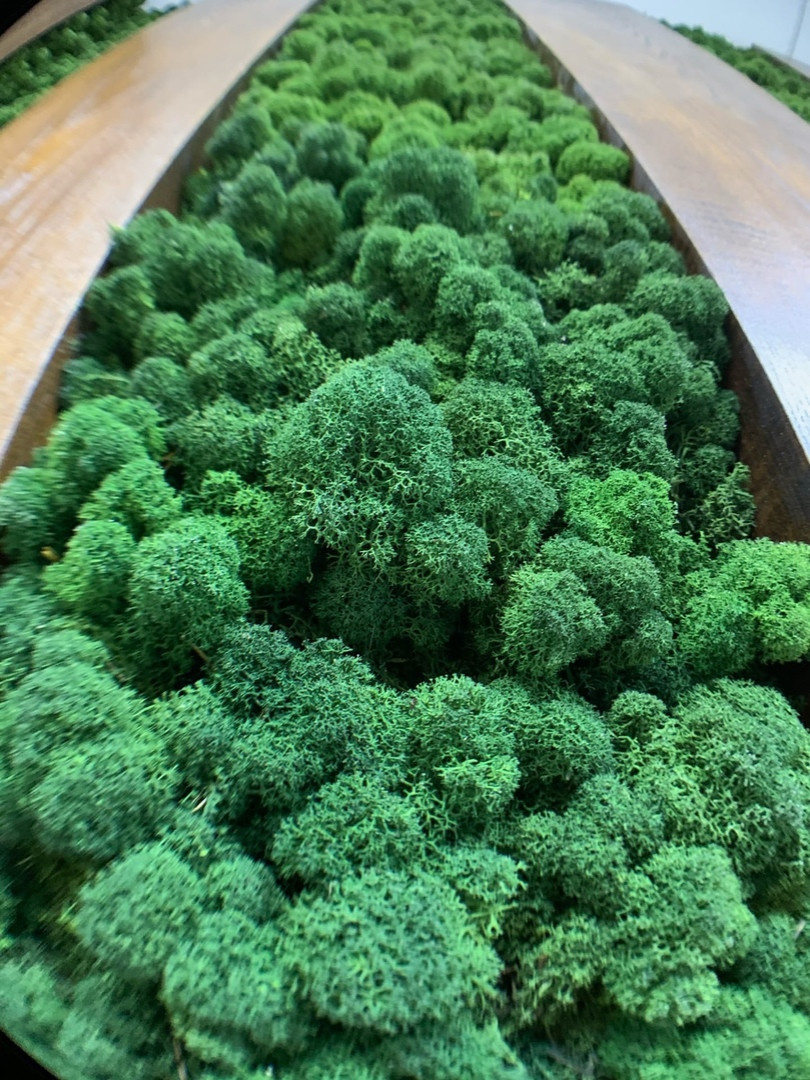 MOROSHKA design workshop