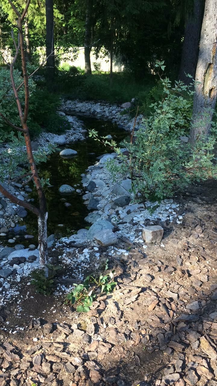 Лесной простор.