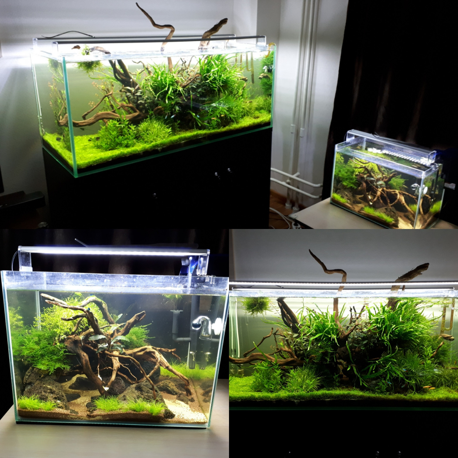 Александр Решетник