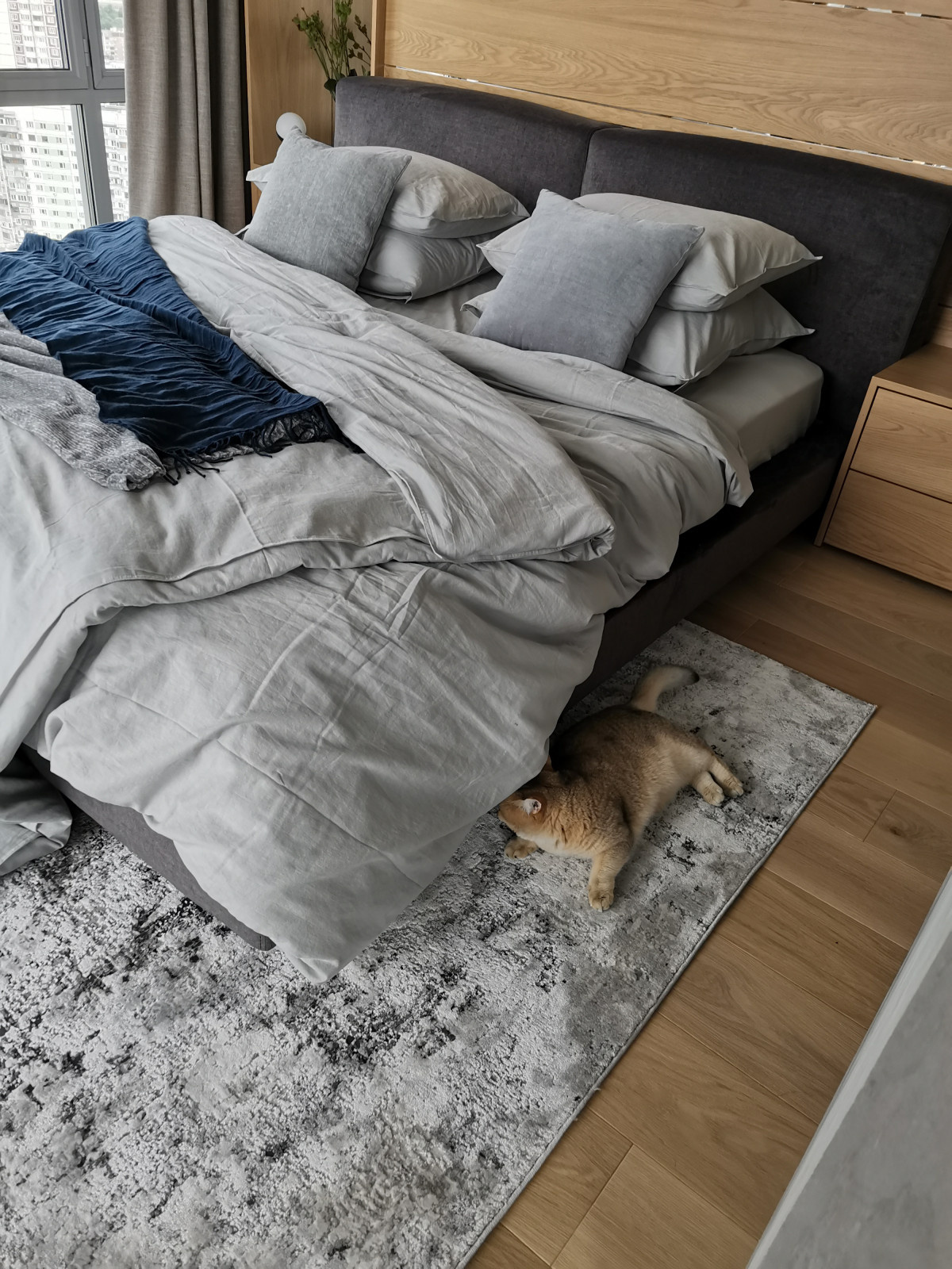 Стайлинг фотосъемки квартиры в Митино