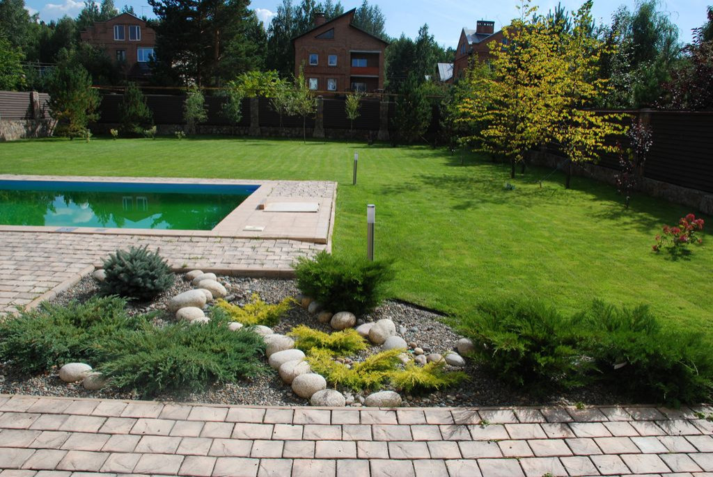 Сибирский Кедр