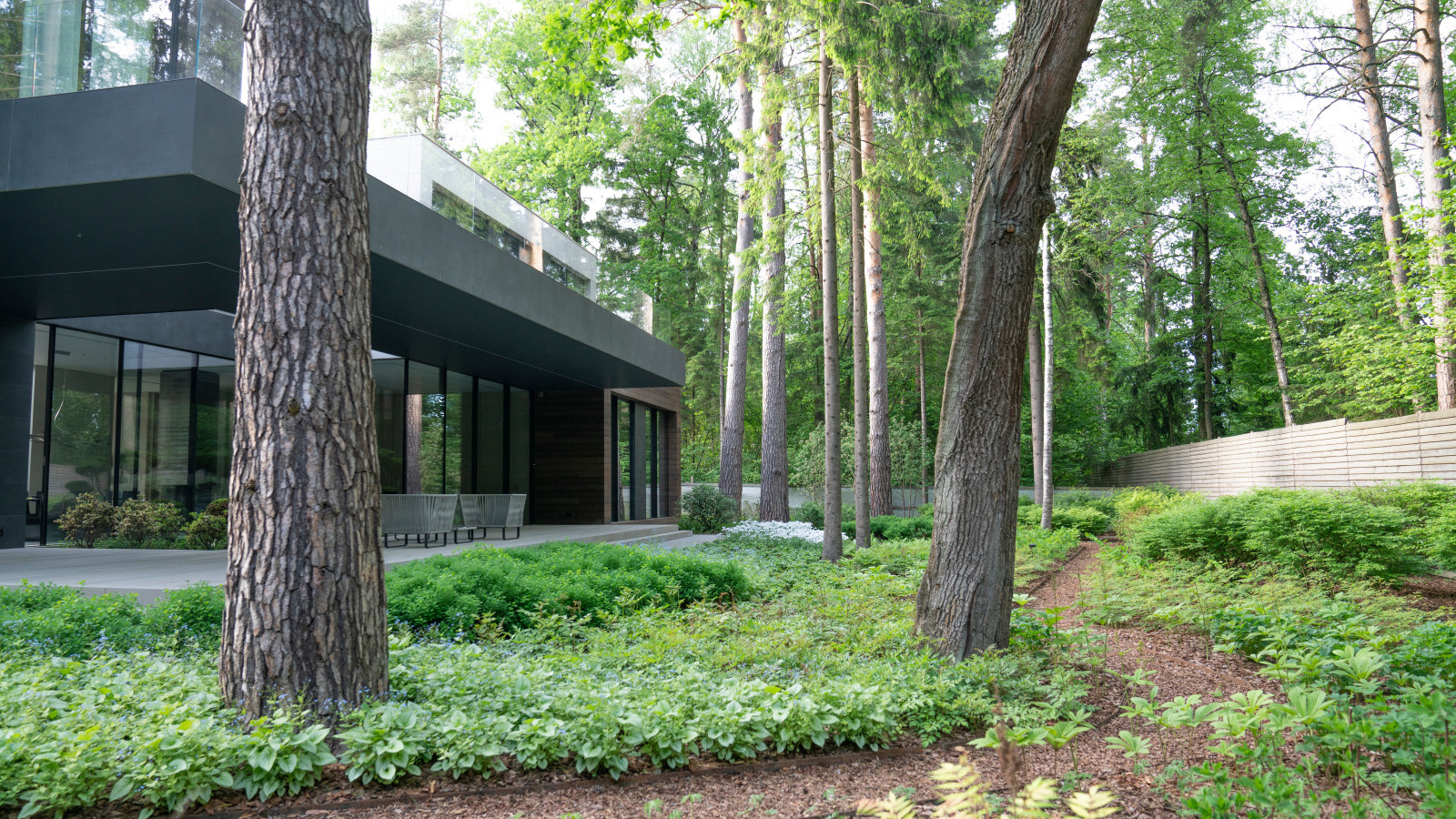 В гармонии с лесом. Модернистский сад. КП Новоуспенский 2020 г