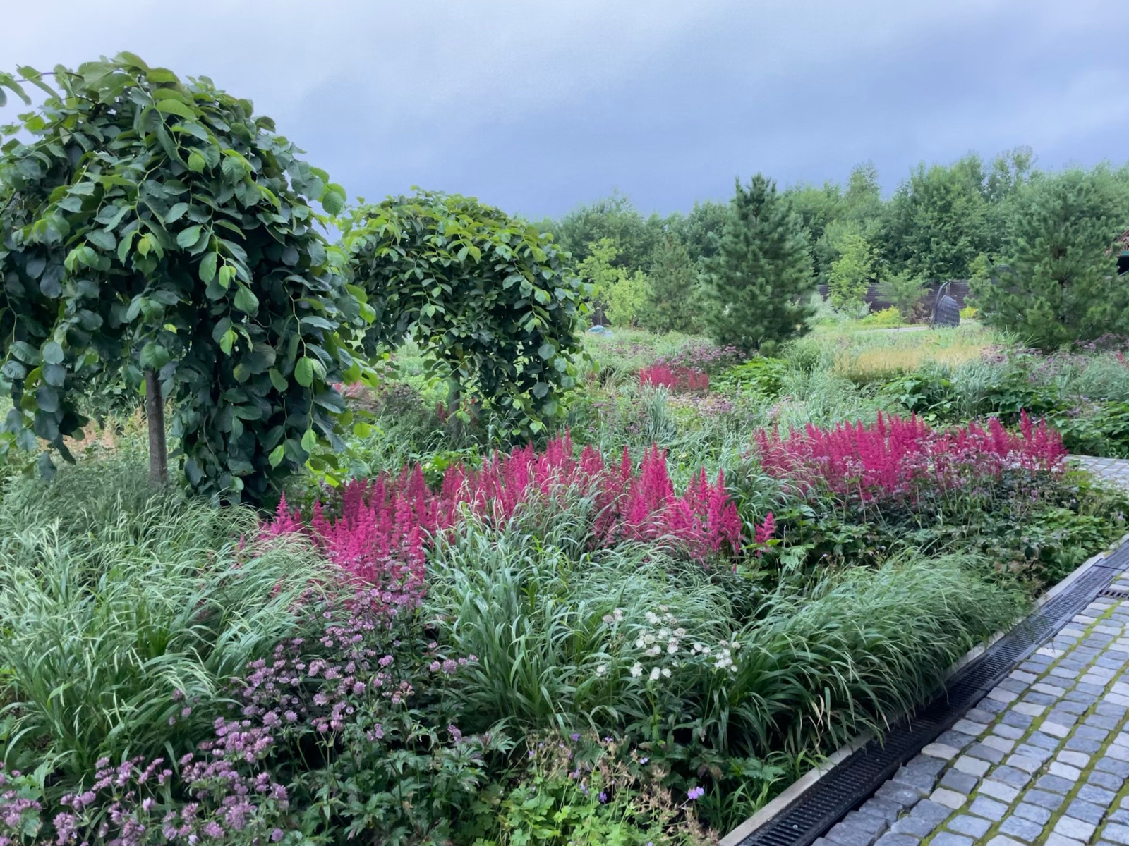 Цветение июль