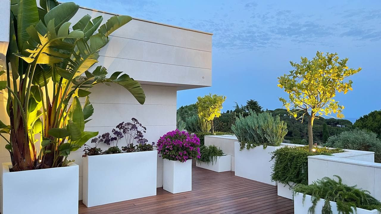 Terraza