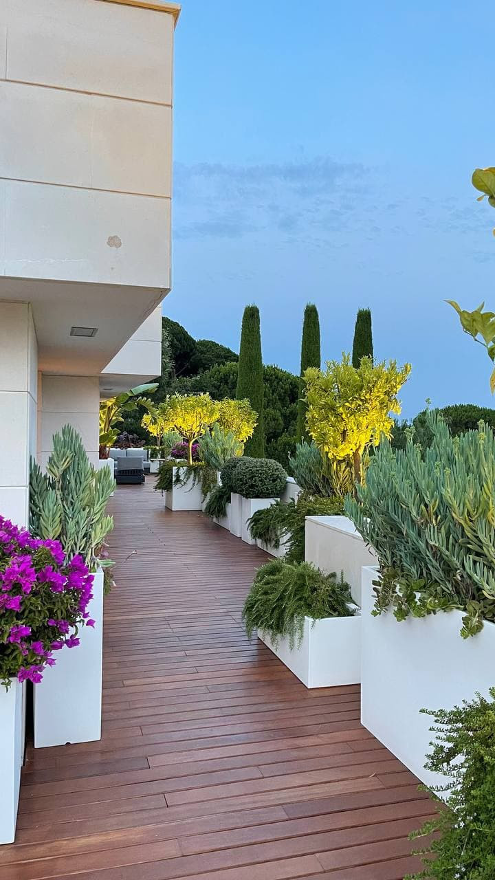 Terraza