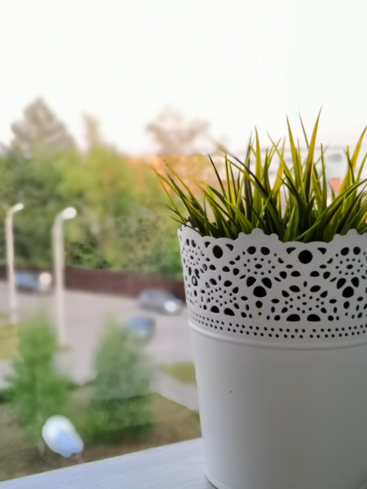Квартира-студия 30 м2 в поселке Михайловка Green Place