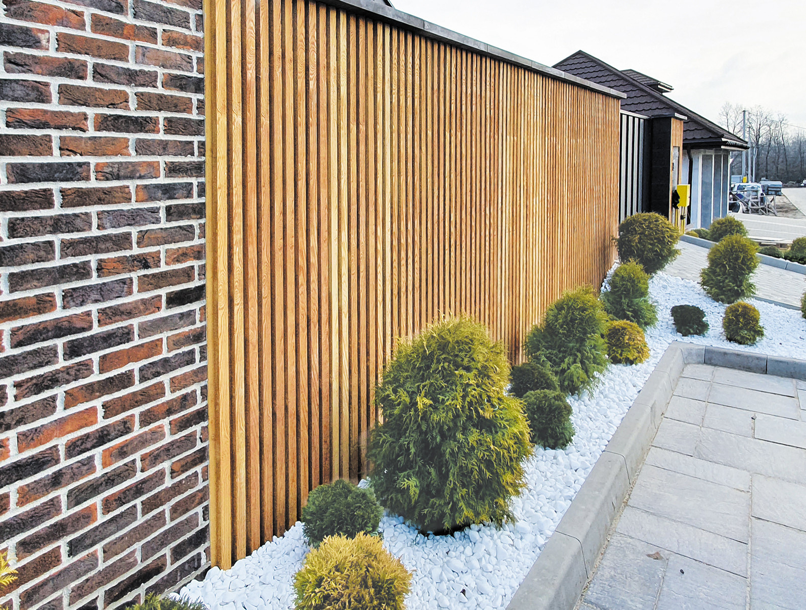 Продукция компании "Золотой мандарин"