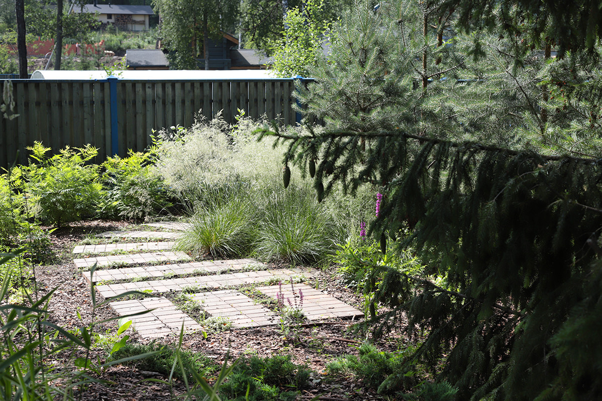 Солнечный берег