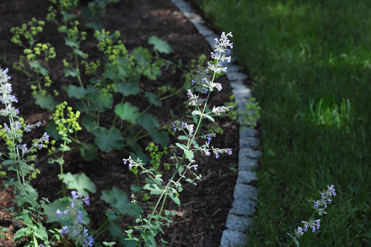 Солнечный берег