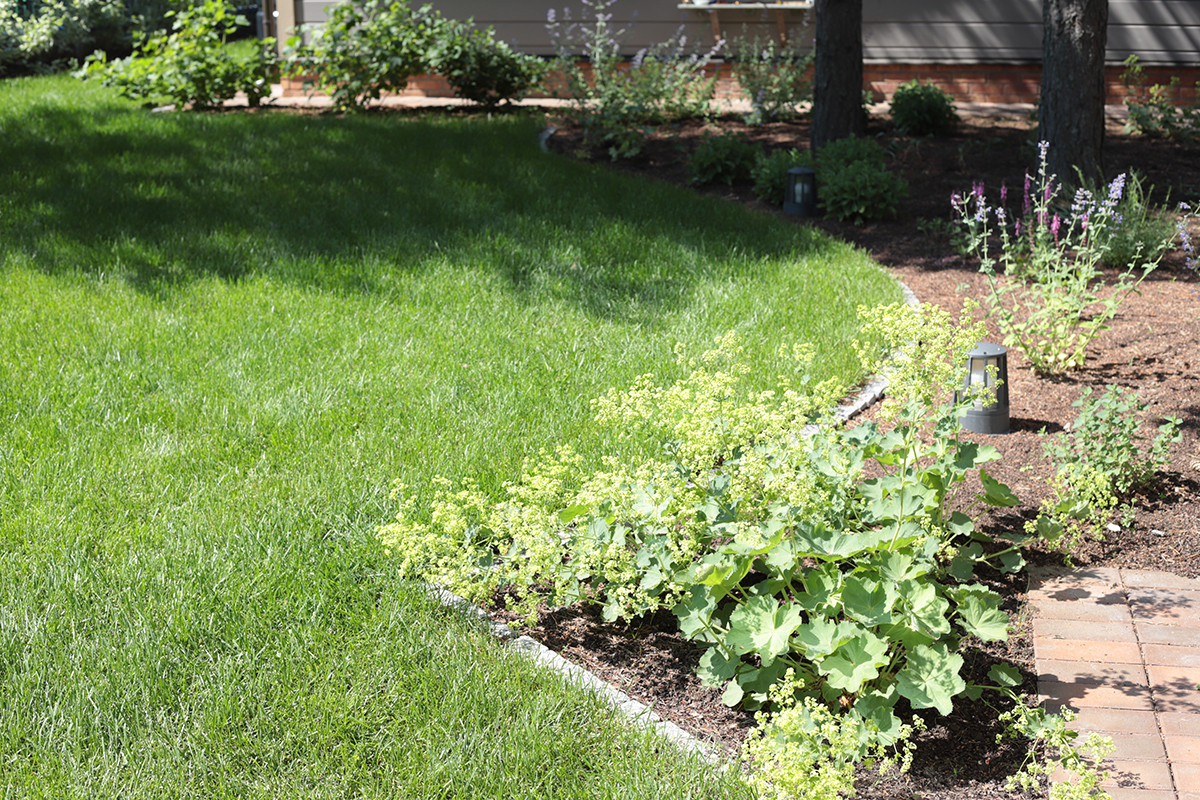 Солнечный берег