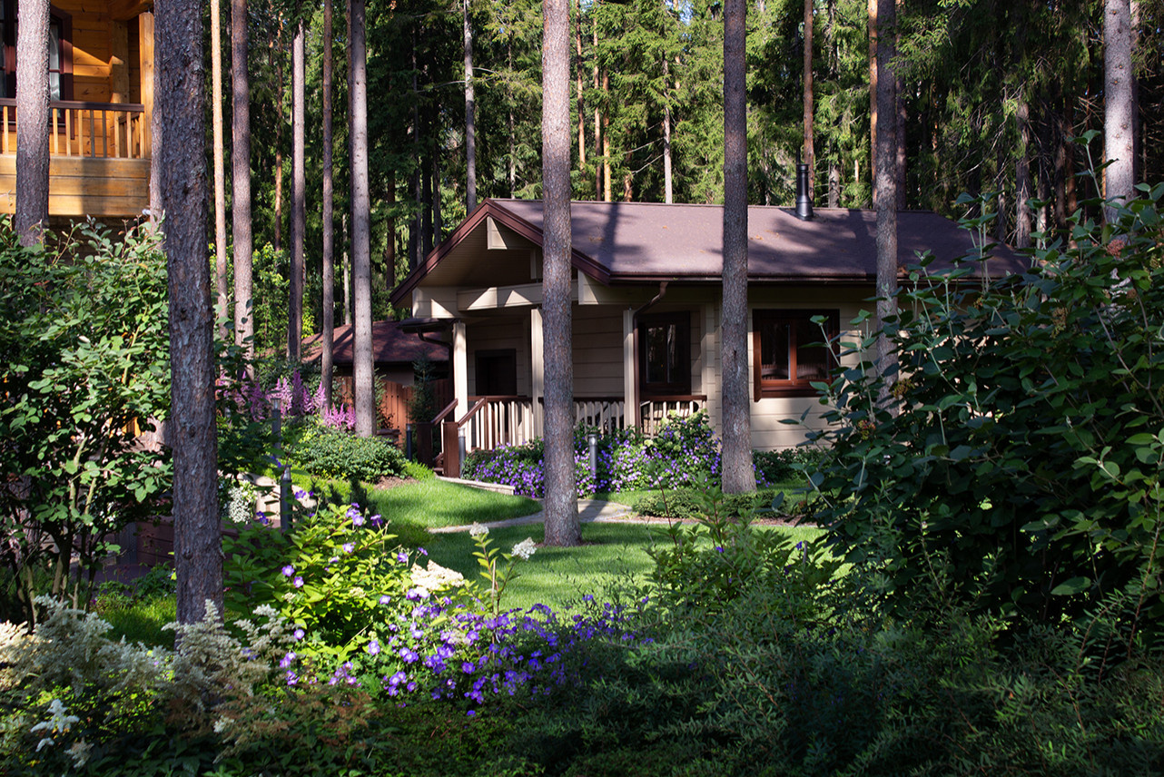 Еловая аллея