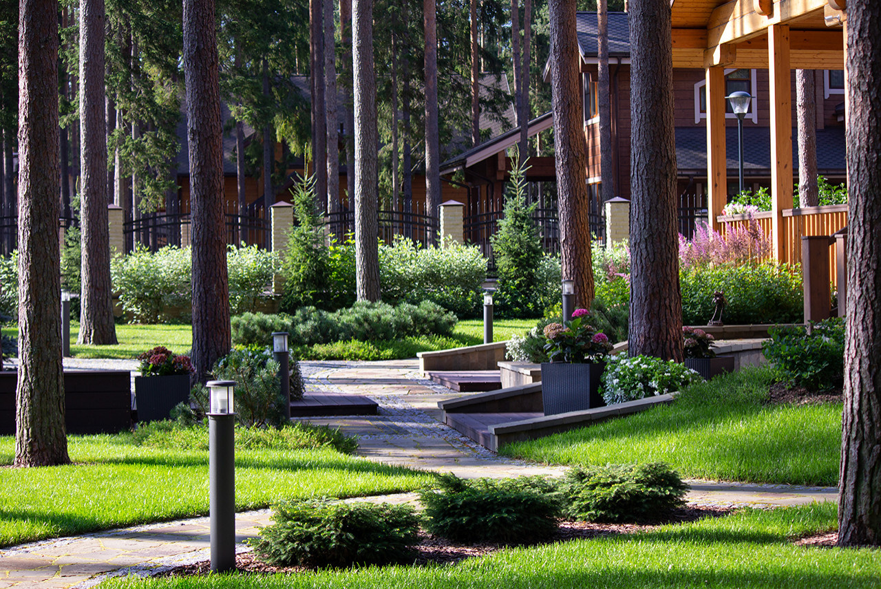 Еловая аллея