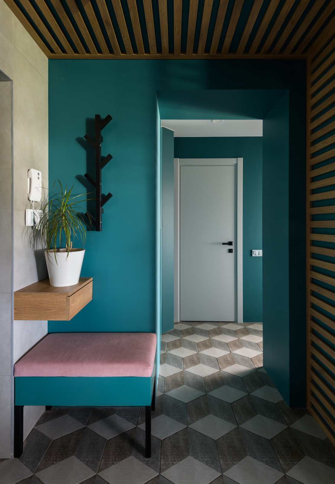 Жизнь в цвете