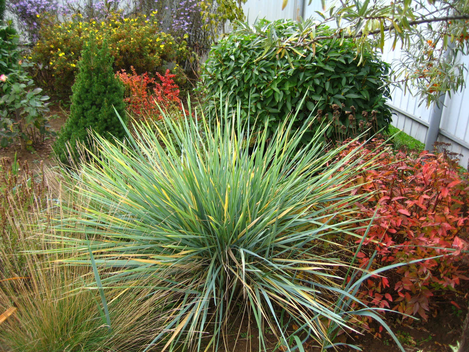 Елена Галыгина