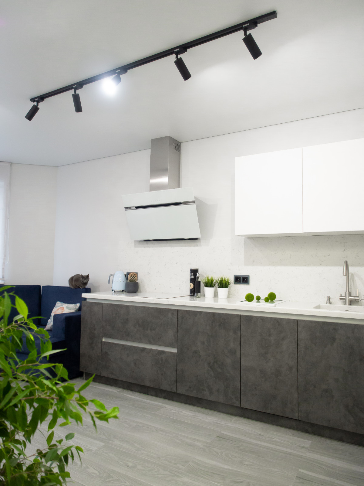 Долгопрудный