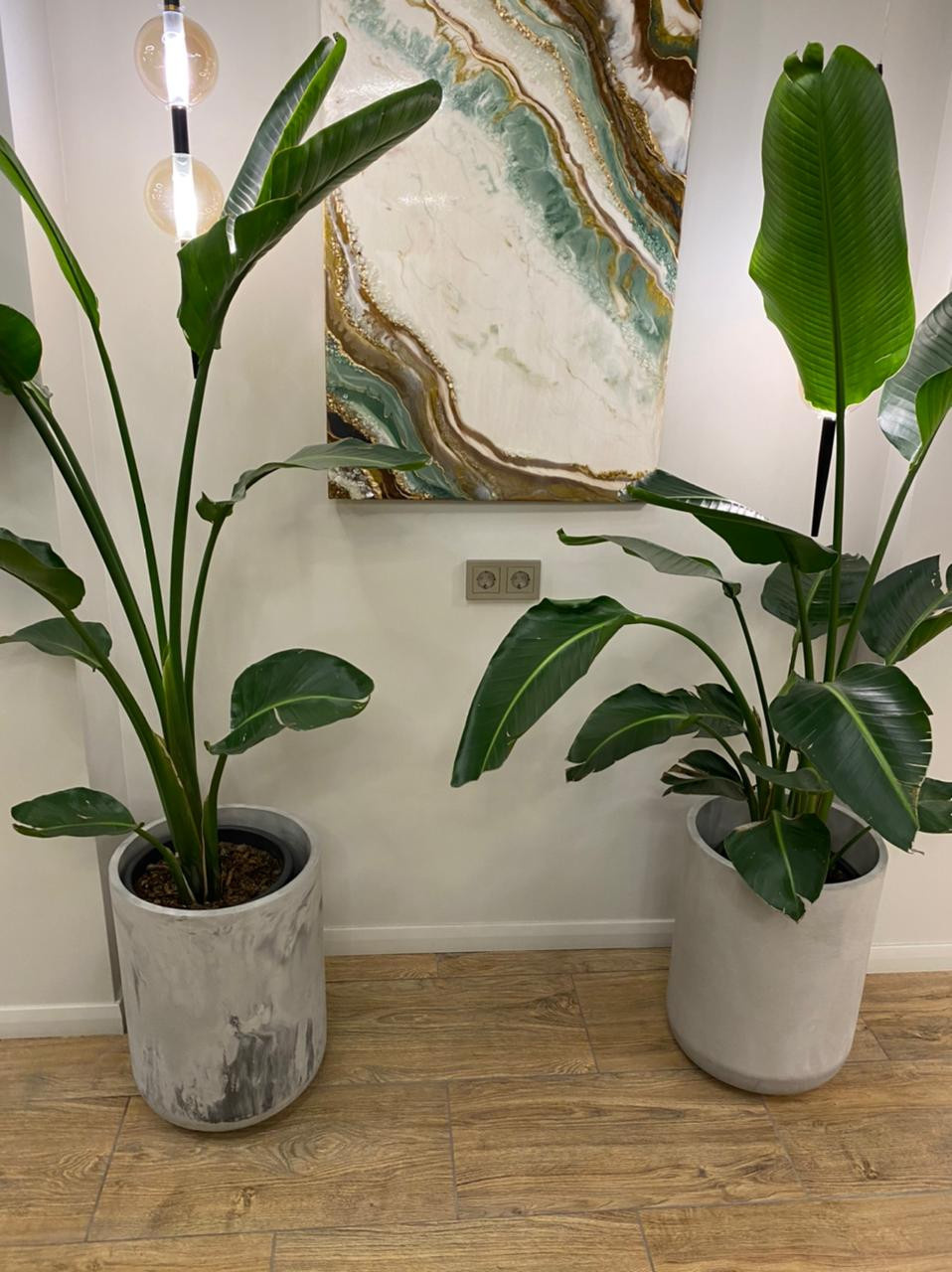 Роман Нефедьев