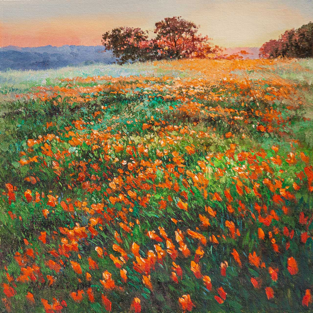Закат над маковым полем