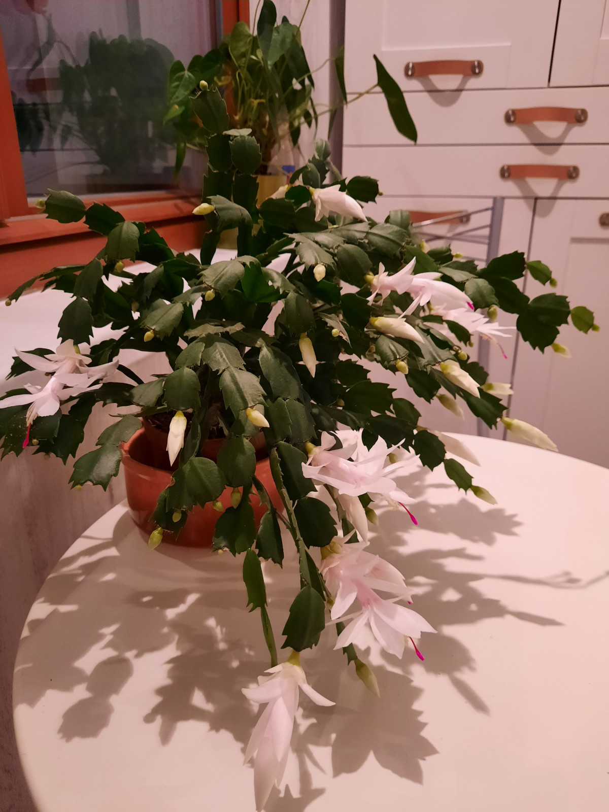 Уютный балкончик