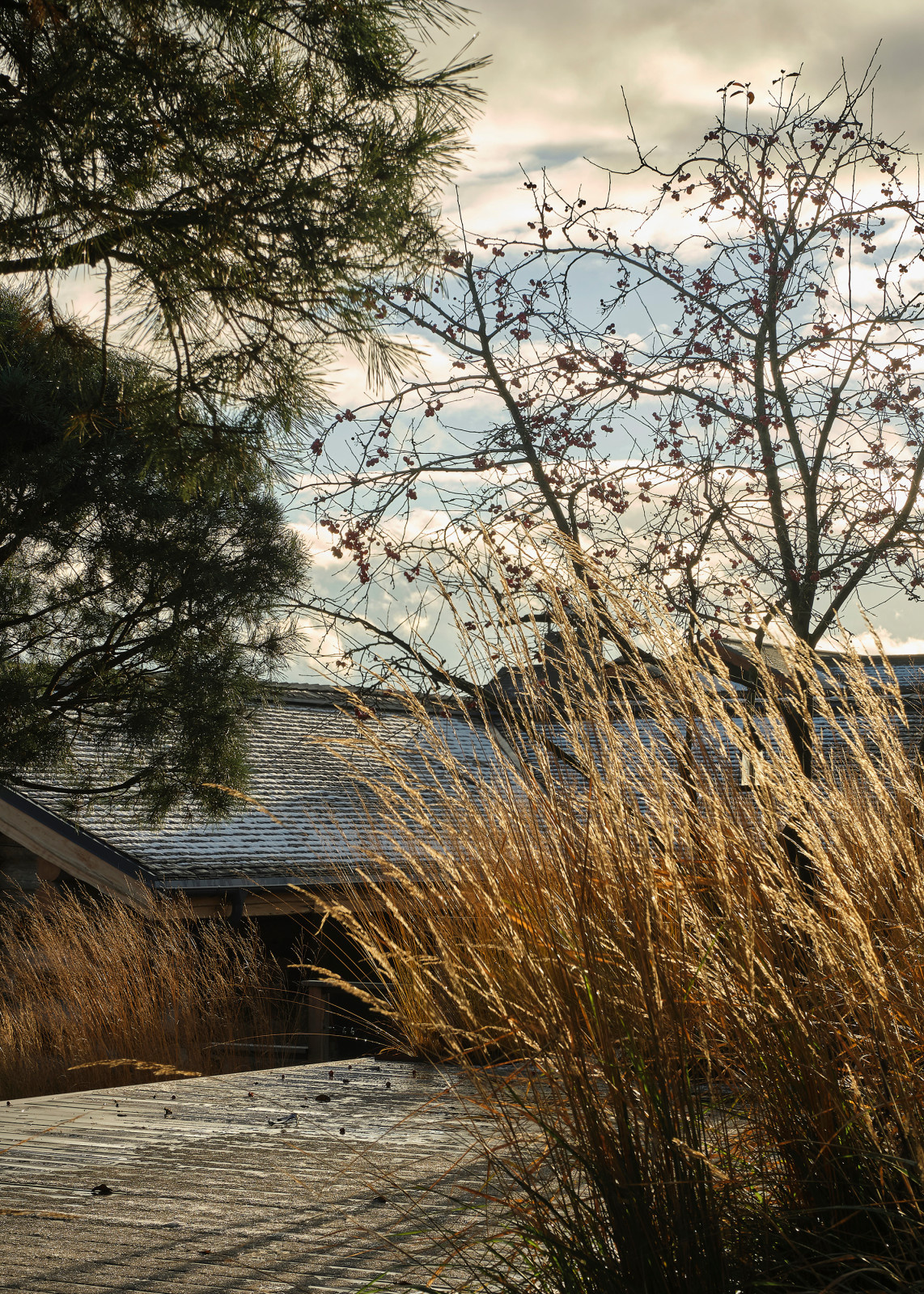 Обложка альбома: дача