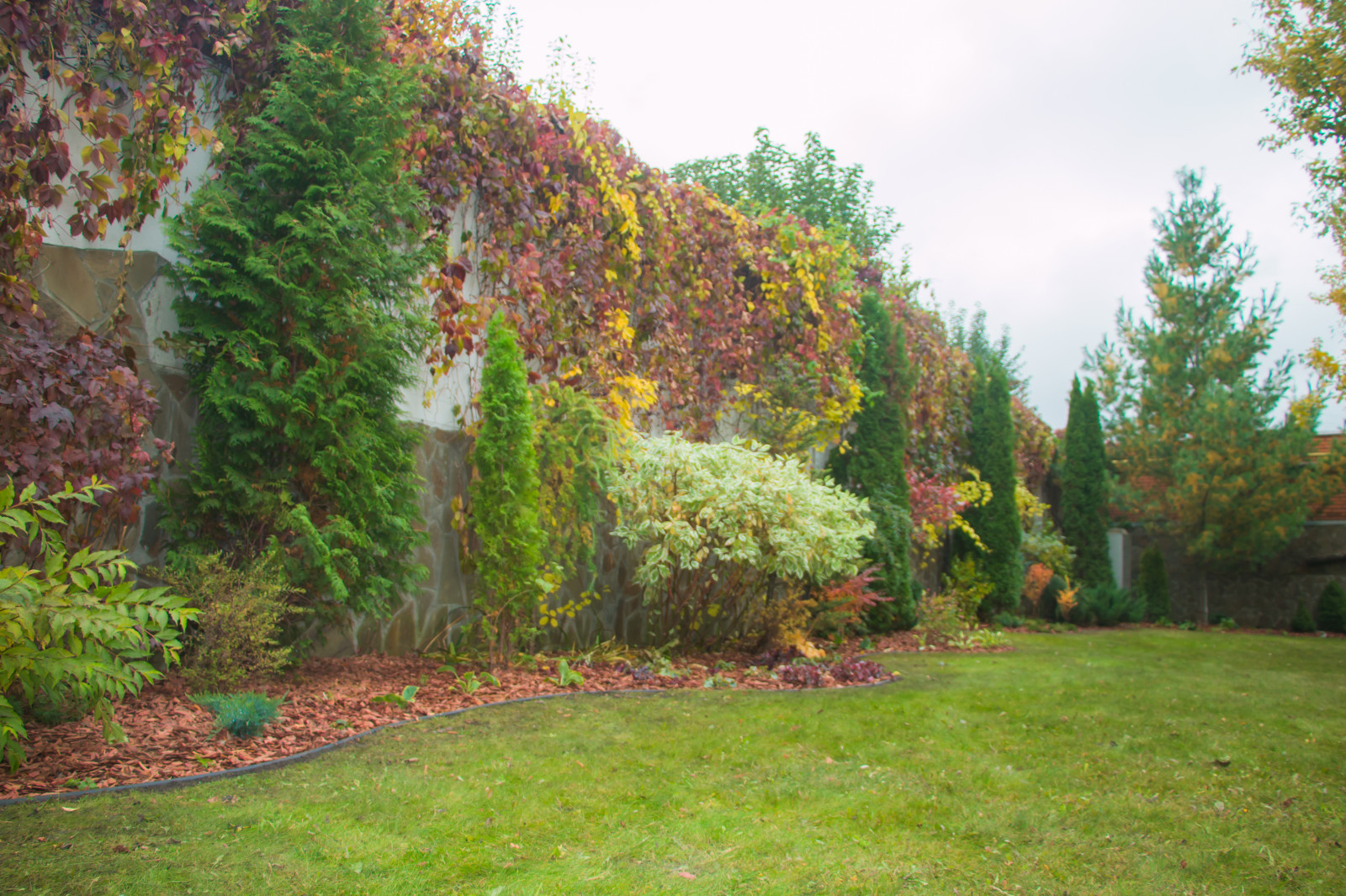 Алексей Соловьёв