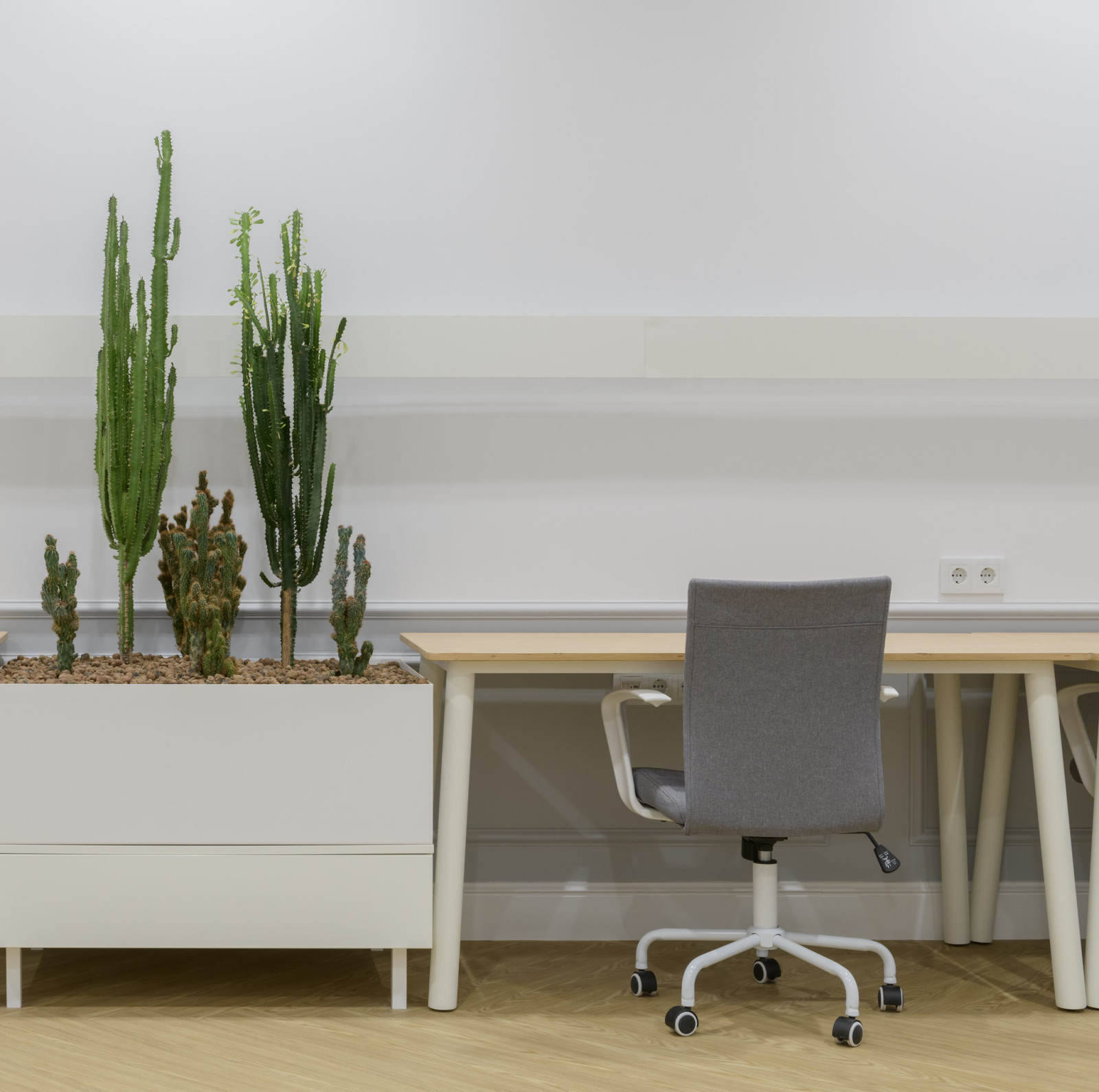 Фоновое изображение профиля Between the walls