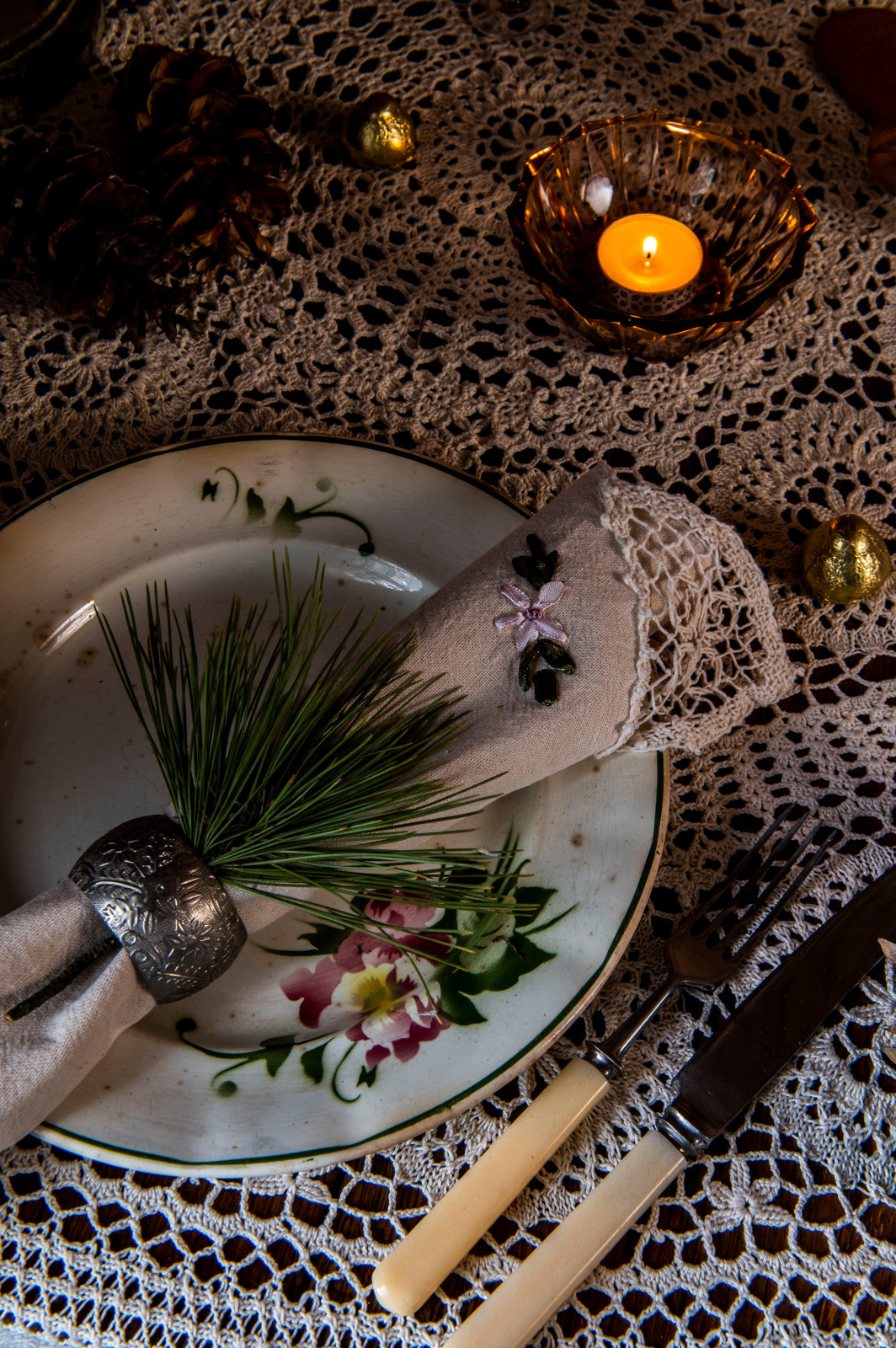 Женя Жданова Таруса, Сад Ракицкого