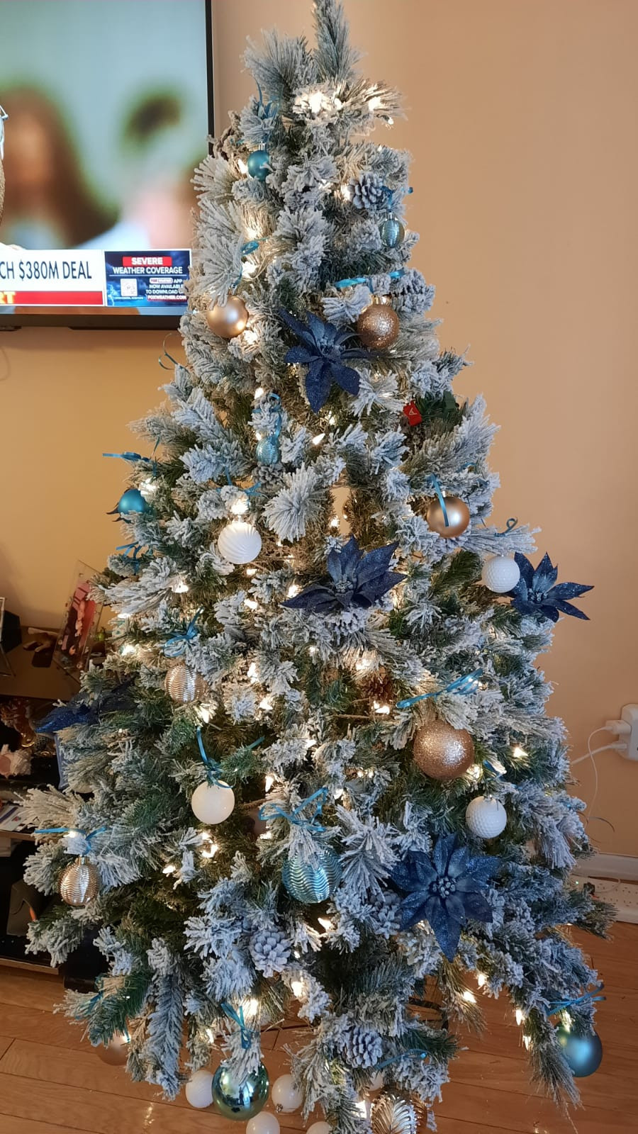 Christmas surprise for Customer's wife, Brooklyn, NYC