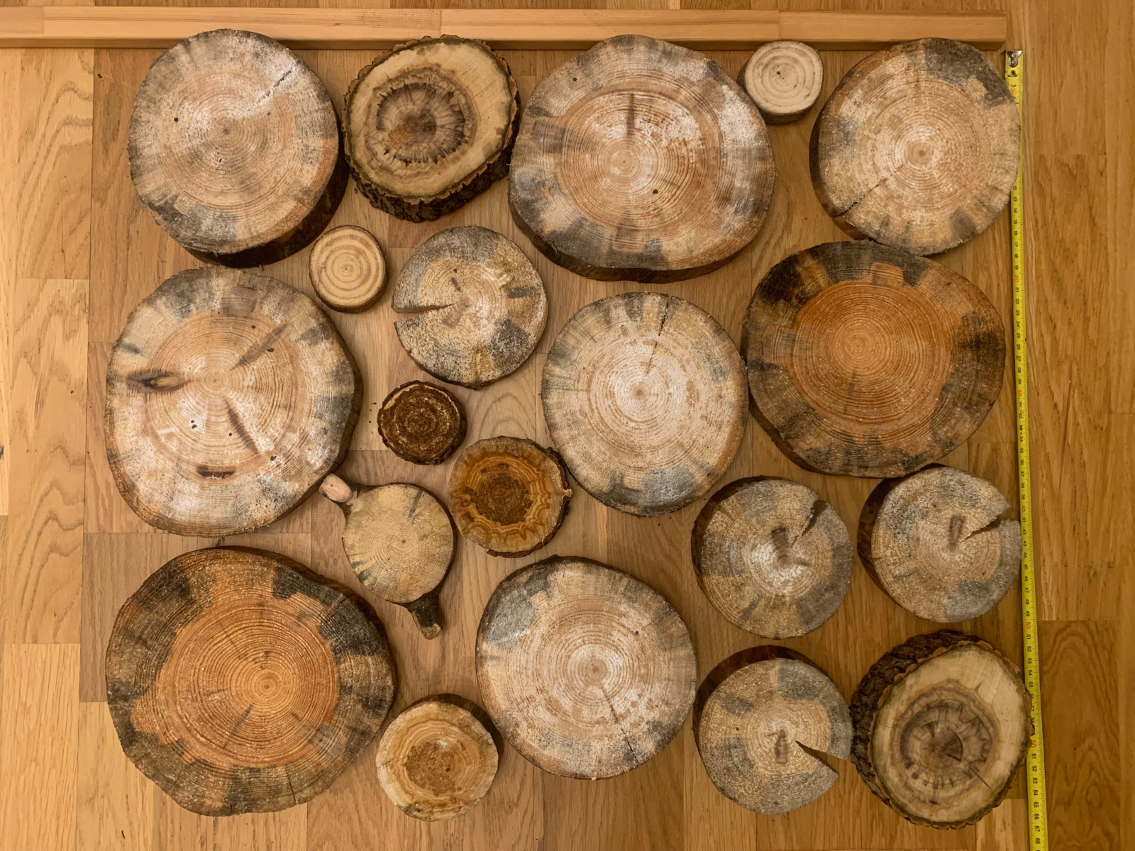 поставка спилов древесины