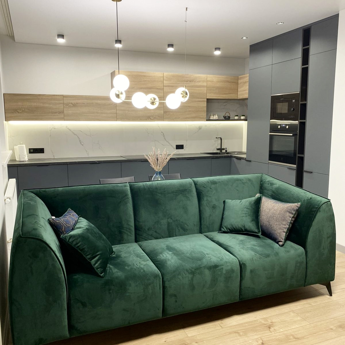 Contemporary apartment