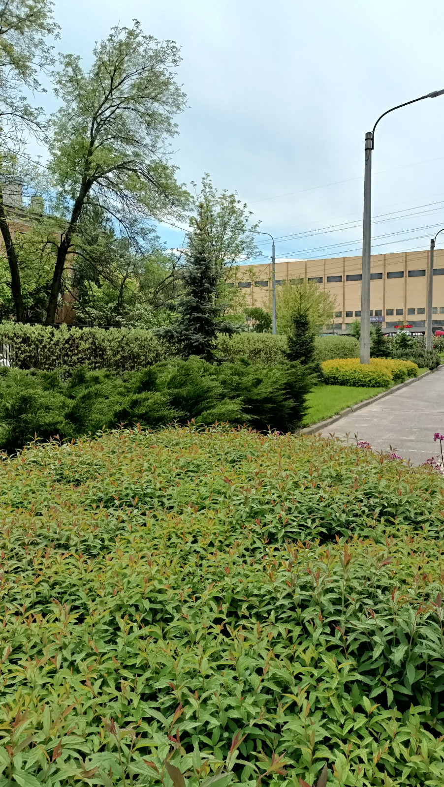Обложка проекта: Городское озеленение .Территория производственного комплекса на Баррикадной