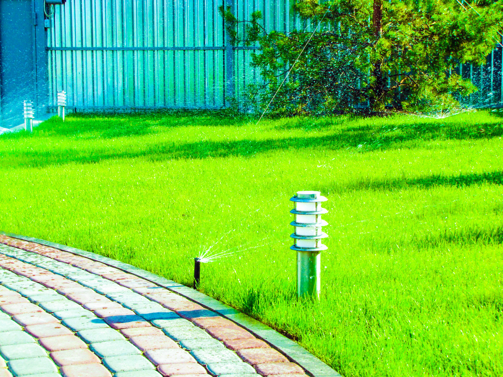 Илья Патрушев