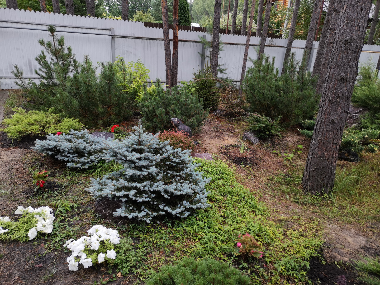 Лесная сказка Марий Эл. Сад в стиле Naturgarden