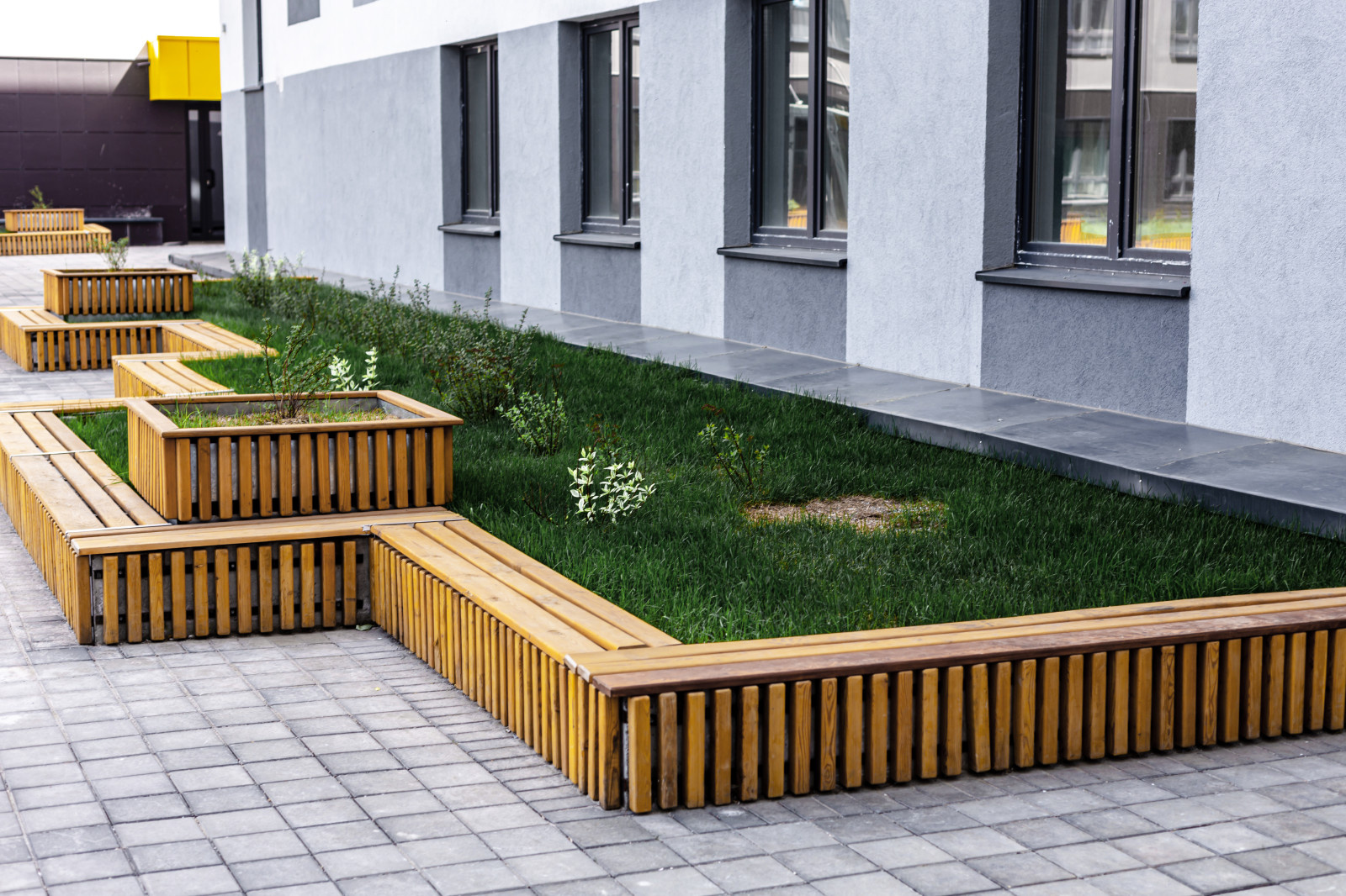 Антон Матвеев