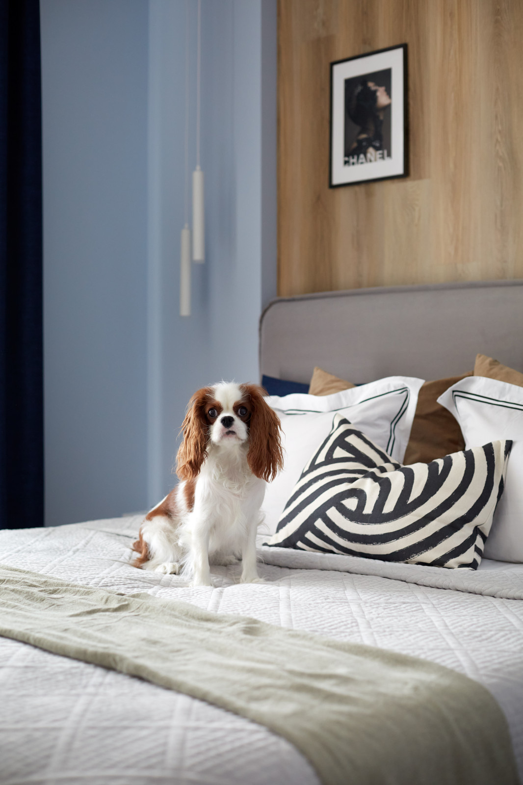 Барометр [май 2022]: Спальни — 26 новых проектов