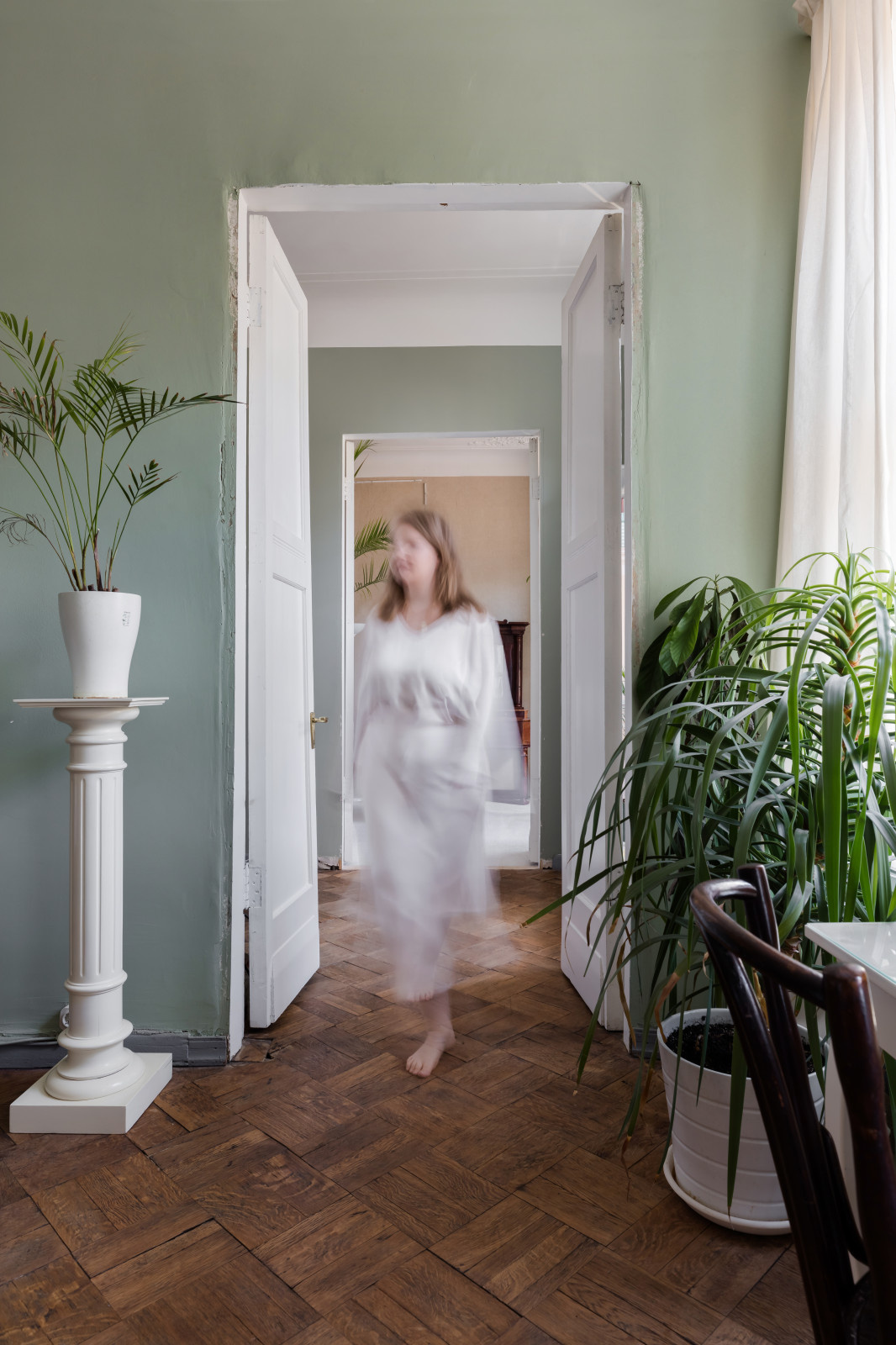 Квартира на Петроградской стороне в доме с совами