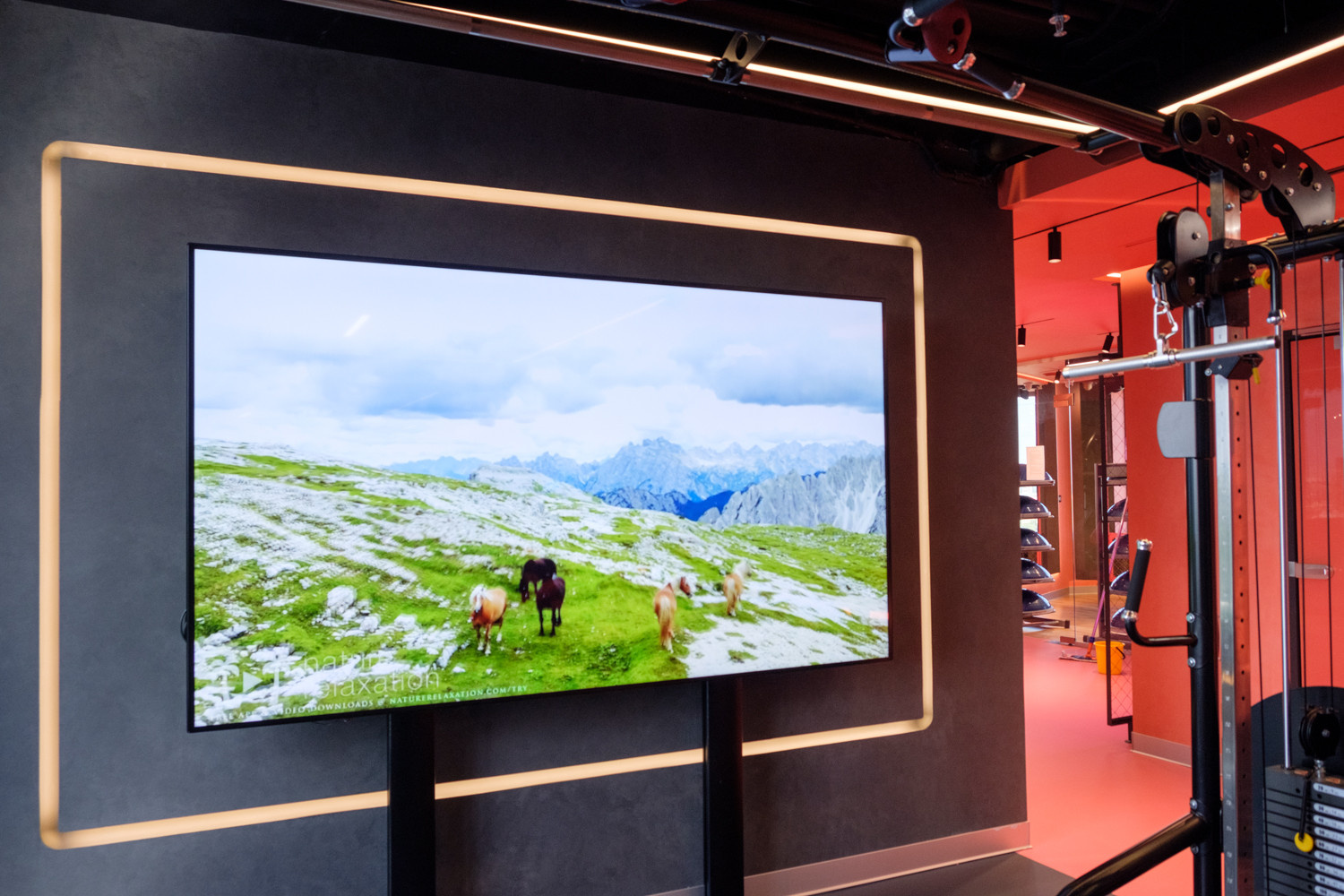 Led Technology | Salonysveta