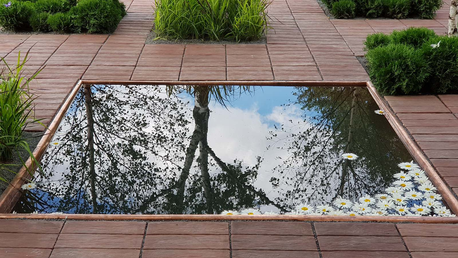 Фоновое изображение профиля Студия ландшафтного дизайна ЛЮКССАД