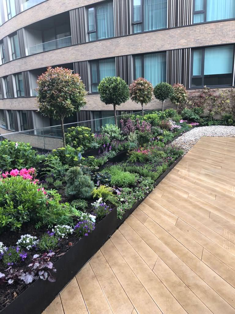 Roof garden