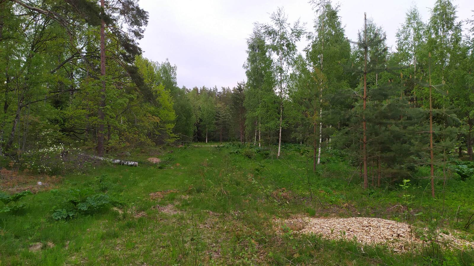 Заозерье