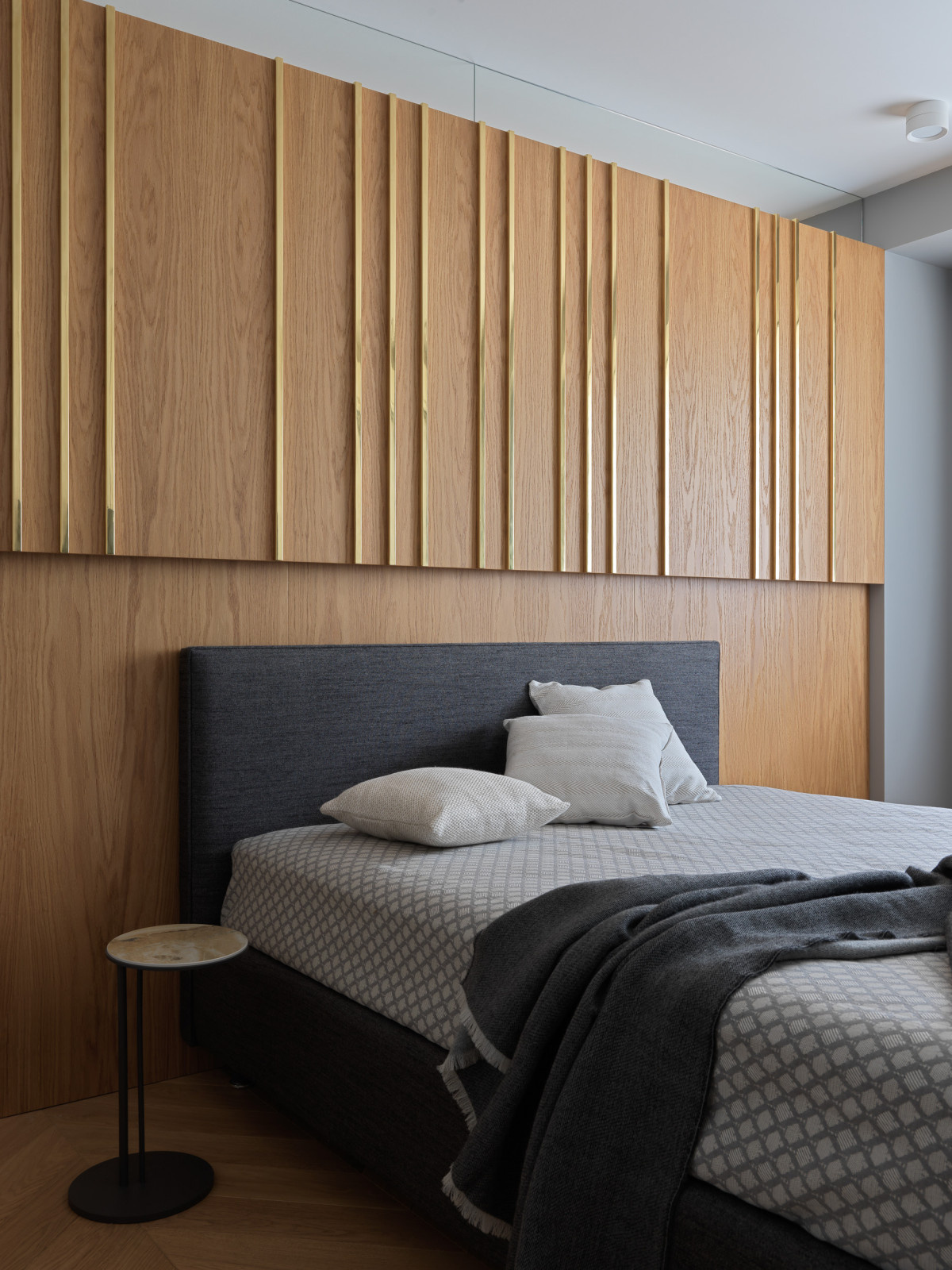 Проект Лебедь