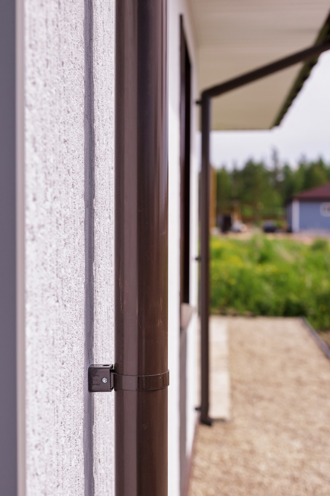 Владимир Доценко