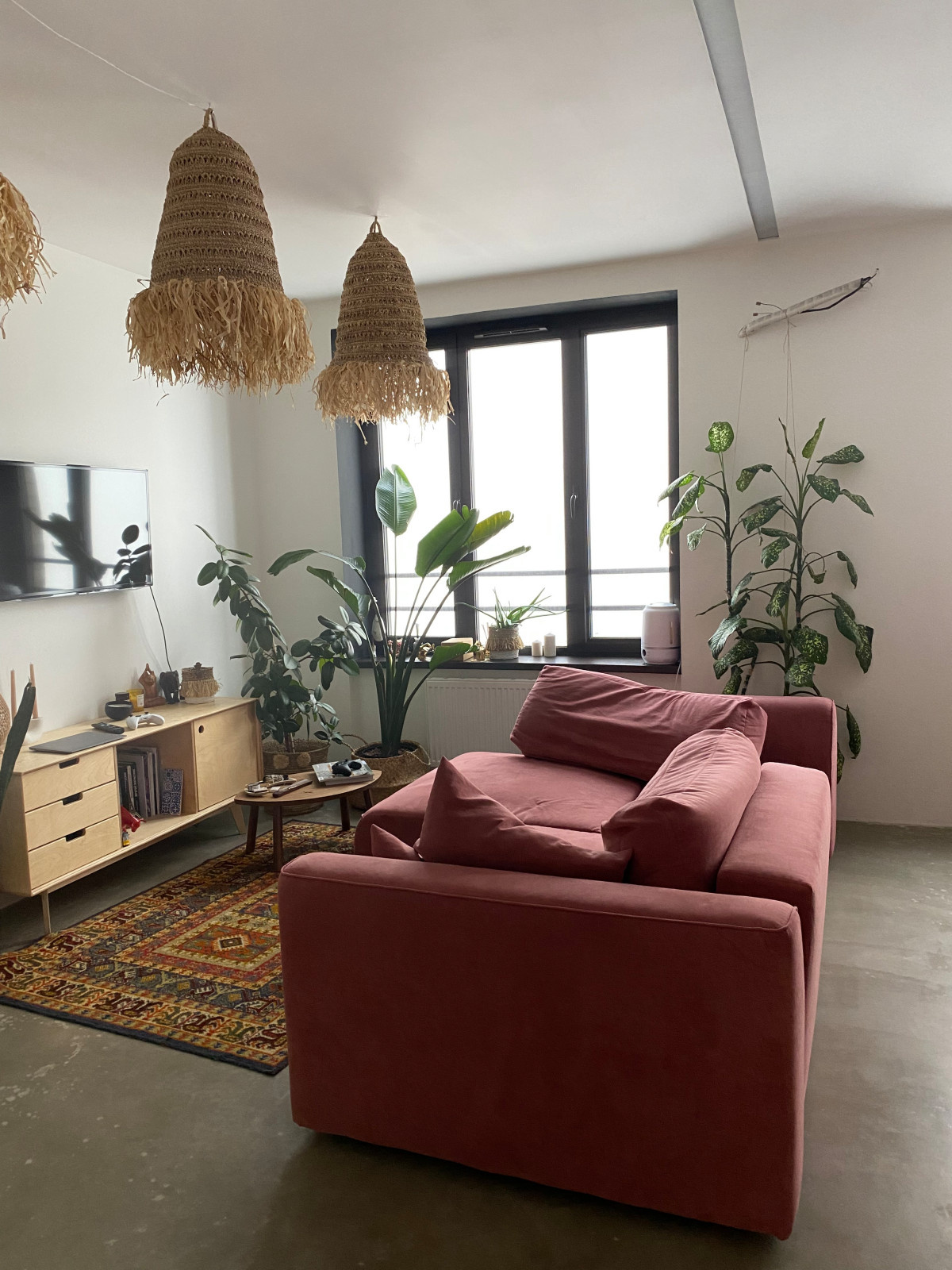 Фоновое изображение профиля Anastasia Amanova