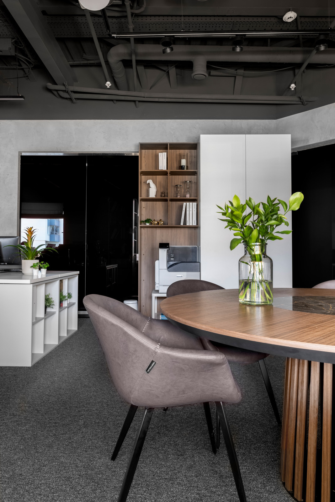 Фоновое изображение профиля Домье